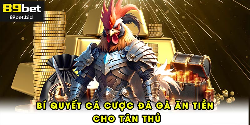 Bí quyết cá cược đá gà ăn tiền cho tân thủ